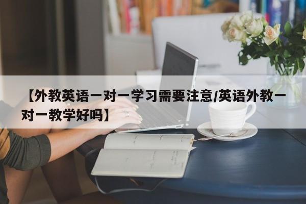 【外教英语一对一学习需要注意/英语外教一对一教学好吗】